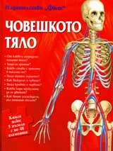 Човешкото тяло