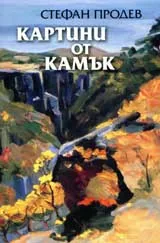 Картини от камък