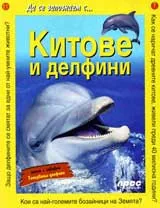 Да се запознаем с: Китове и делфини