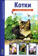 В помощ на ученика: Котки