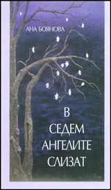 В седем ангелите слизат