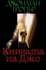 Книгата на Джо