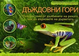 Триизмерен пътеводител: Дъждовни гори