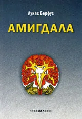 Амигдала