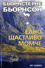 Едно щастливо момче