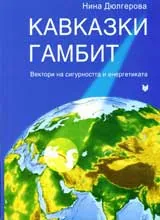 Кавказки гамбит. Вектори на сигурността и енергетиката