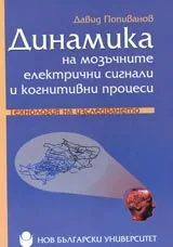 Динамика на мозъчните електрични сигнали и когнитивни процеси