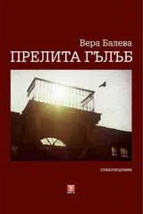 Прелита гълъб