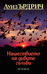 Нашествието на дивите гълъби