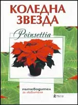 Коледна звезда