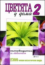 Цветята у дома 2