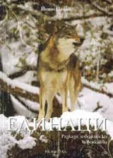 Единаци