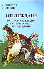 Отглеждане на токачки, фазани, гълъби за месо и пъдпъдъци