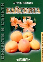 Кайсията