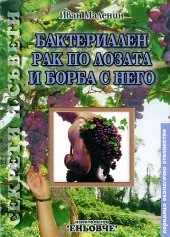 Бактериален рак по лозата и борба с него