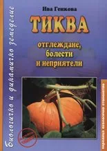 Тиква - отглеждане, болести и неприятели