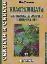 Краставицата - отглеждане, болести и неприятели