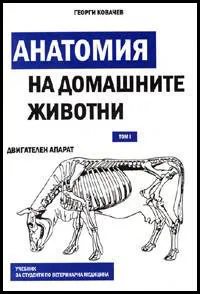 Анатомия на домашните животни. Том I. Двигателен апарат и вътрешни органи