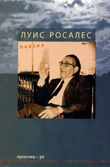 Поезия