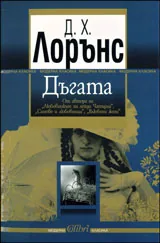 Дъгата