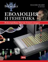 Еволюция и генетика