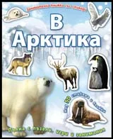 Занимателна книжка със стикери – В Арктика