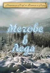 Мечове в леда