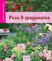 Моята градина мечта: Рози в градината