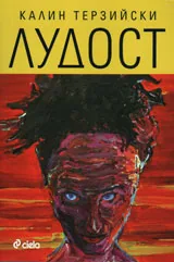 Лудост