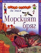 Искам всичко да знам: Морския бряг
