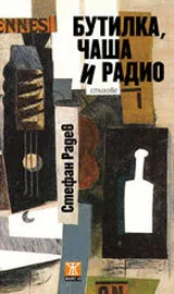 Бутилка, чаша и радио