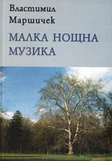 Малка нощна музика