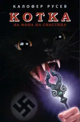 Котка на фона на свастика