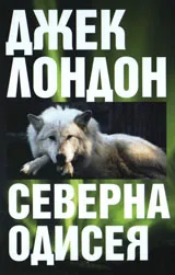 Северна одисея