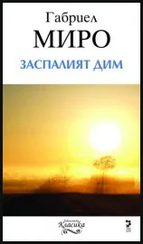 Заспалият дим