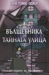 Вълшебника от тайната улица