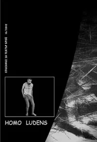 Homo Ludens, 2012/брой 16
