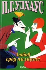 Любов сред пилците