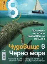 Списание 8, 2013/брой 7