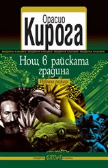 Нощ в райската градина