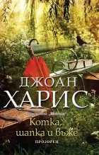 Котка, шапка и въже