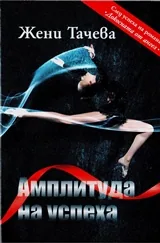 Амплитуда на успеха
