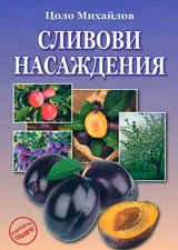 Сливови насаждения