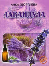 Лавандула