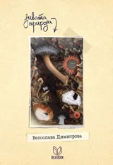 Дивата природа