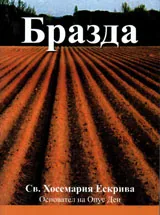 Бразда