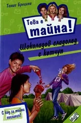Книга 11 от поредицата Това е тайна - Шоколадов сладолед с кетчуп