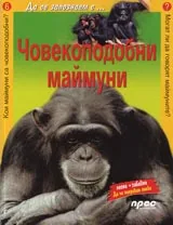 Човекоподобни маймуни