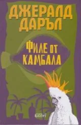 Филе от камбала