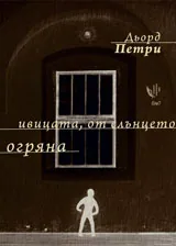 Ивицата, от слънцето огряна